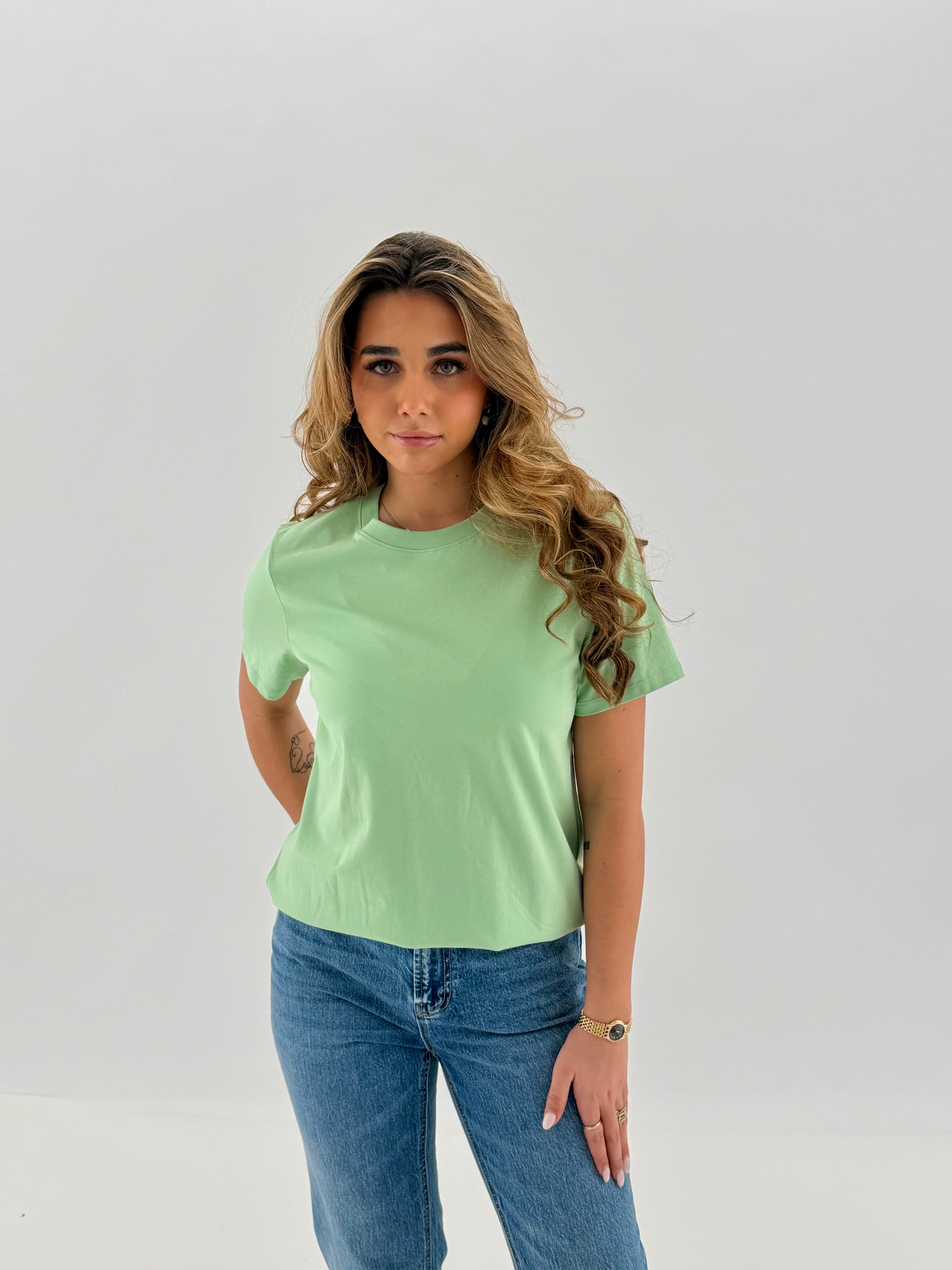 PCRIA T-Shirt - Sprucestone